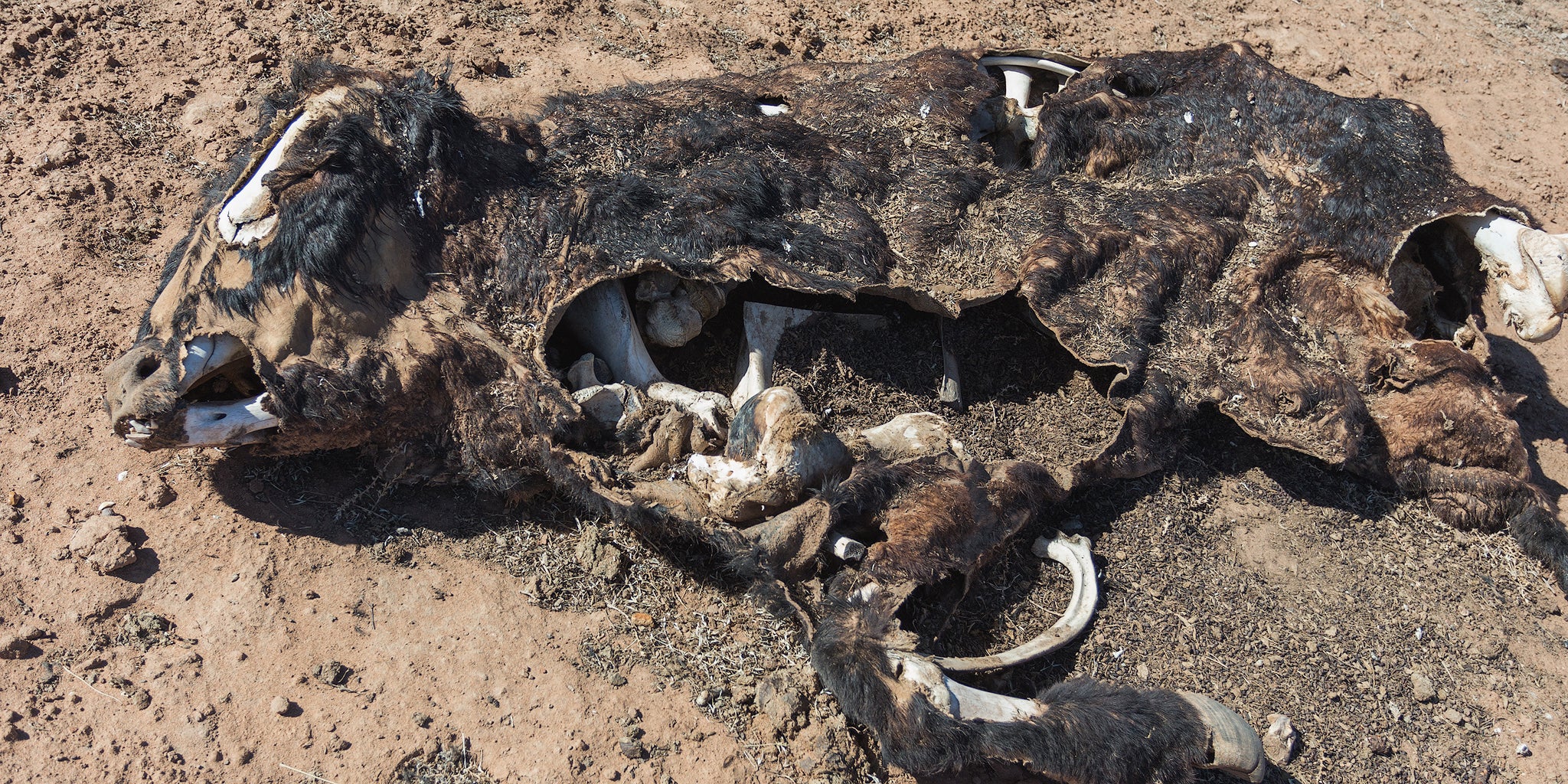 Ultimate Guide to Desert Photography