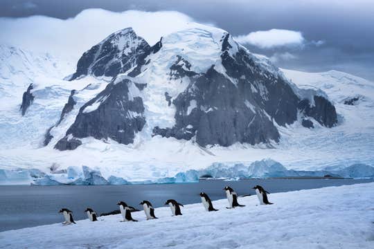 Antarctica Photography Expedition - November 19 - 30, 2025
