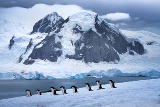 Antarctica Photography Expedition - November 19 - 30, 2025