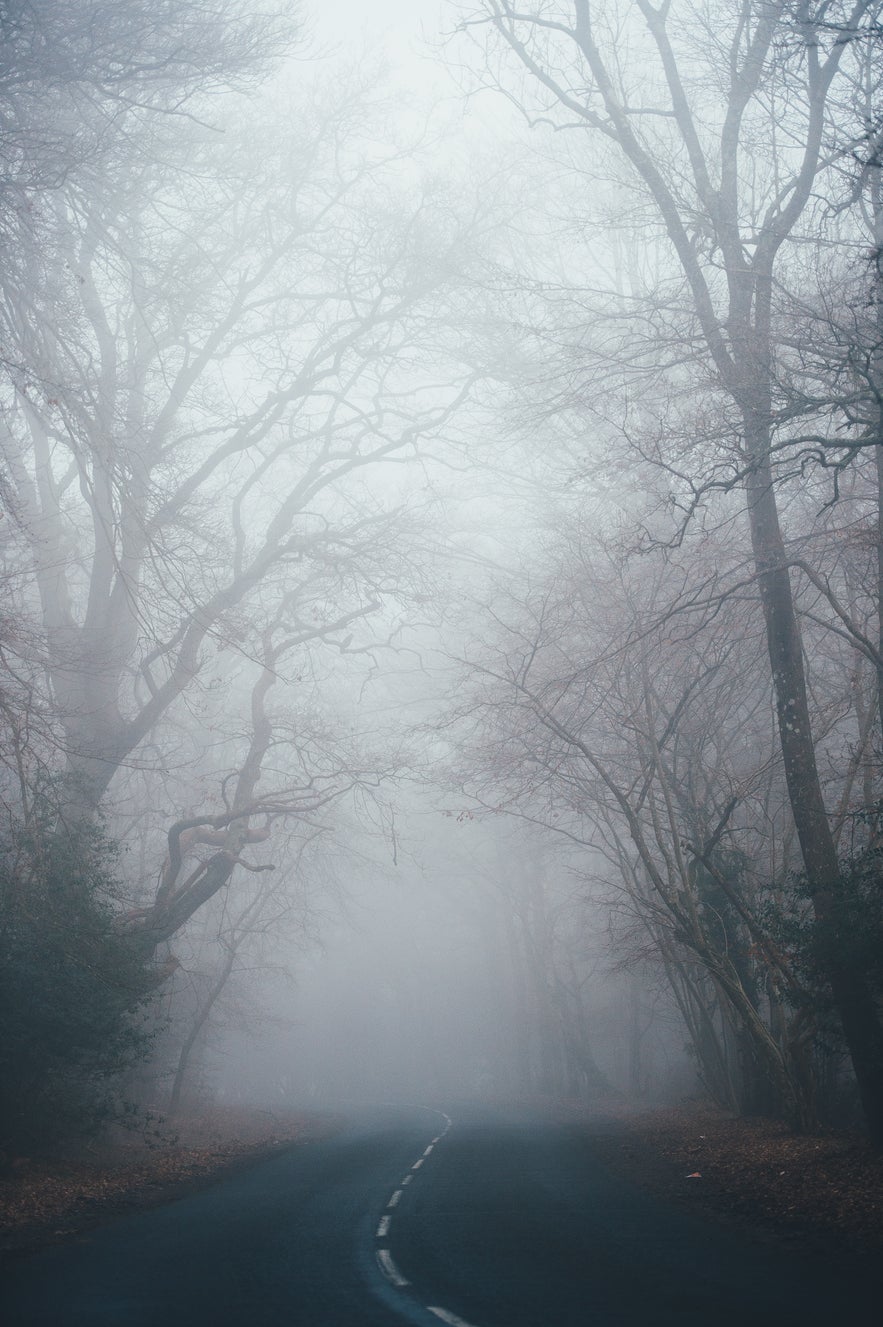 How to Improve Your Fog Photography How to Improve Your Fog Photography