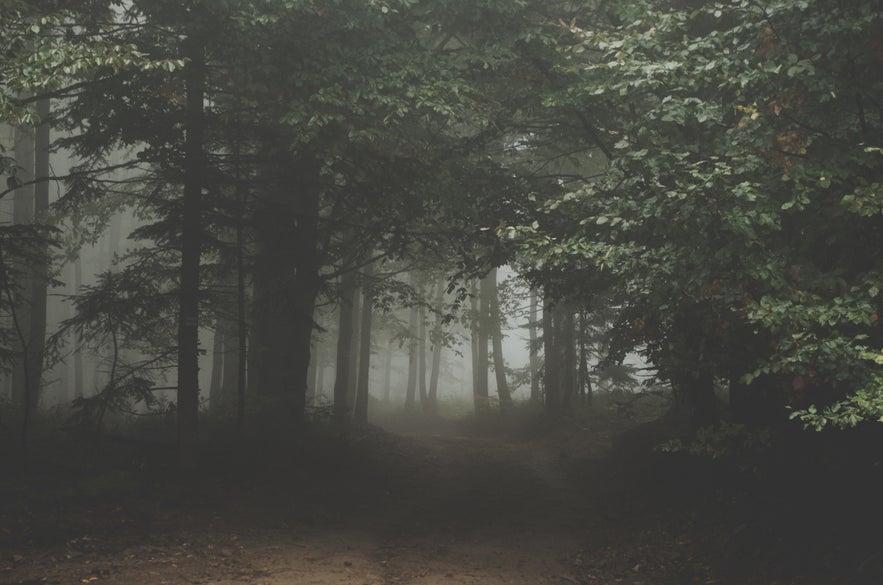 How to Improve Your Fog Photography How to Improve Your Fog Photography