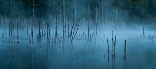 8 daniel-mirlea-dld1xhMdpos-unsplash.jpg