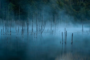 How to Improve Your Fog Photography
