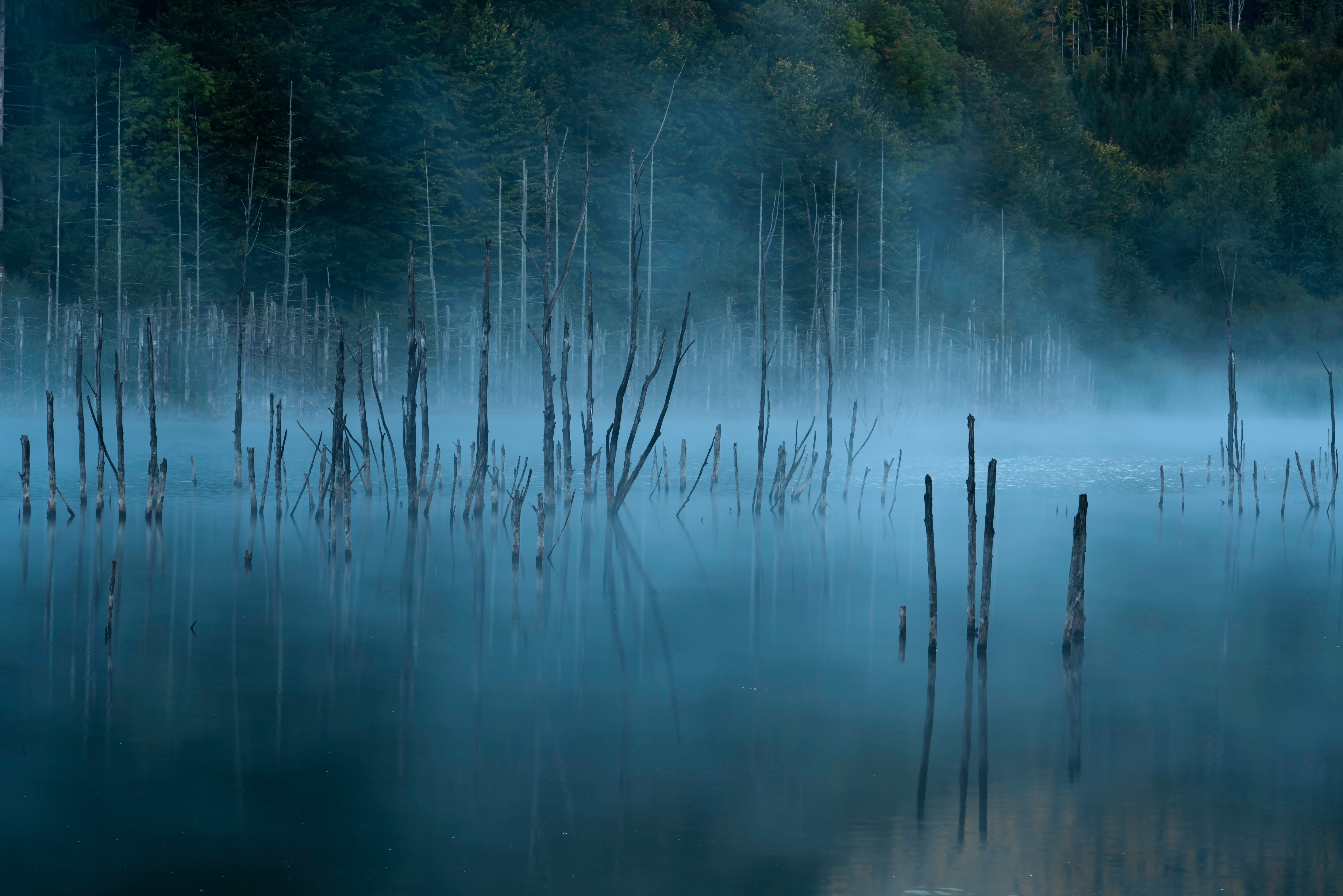 How to Improve Your Fog Photography