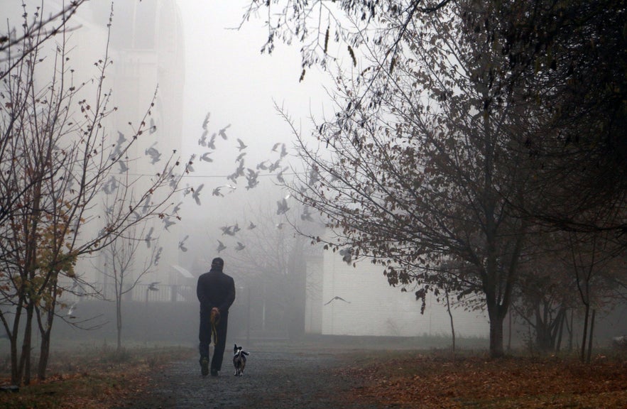 How to Improve Your Fog Photography How to Improve Your Fog Photography