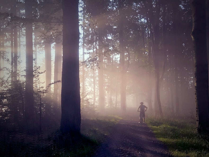 How to Improve Your Fog Photography How to Improve Your Fog Photography