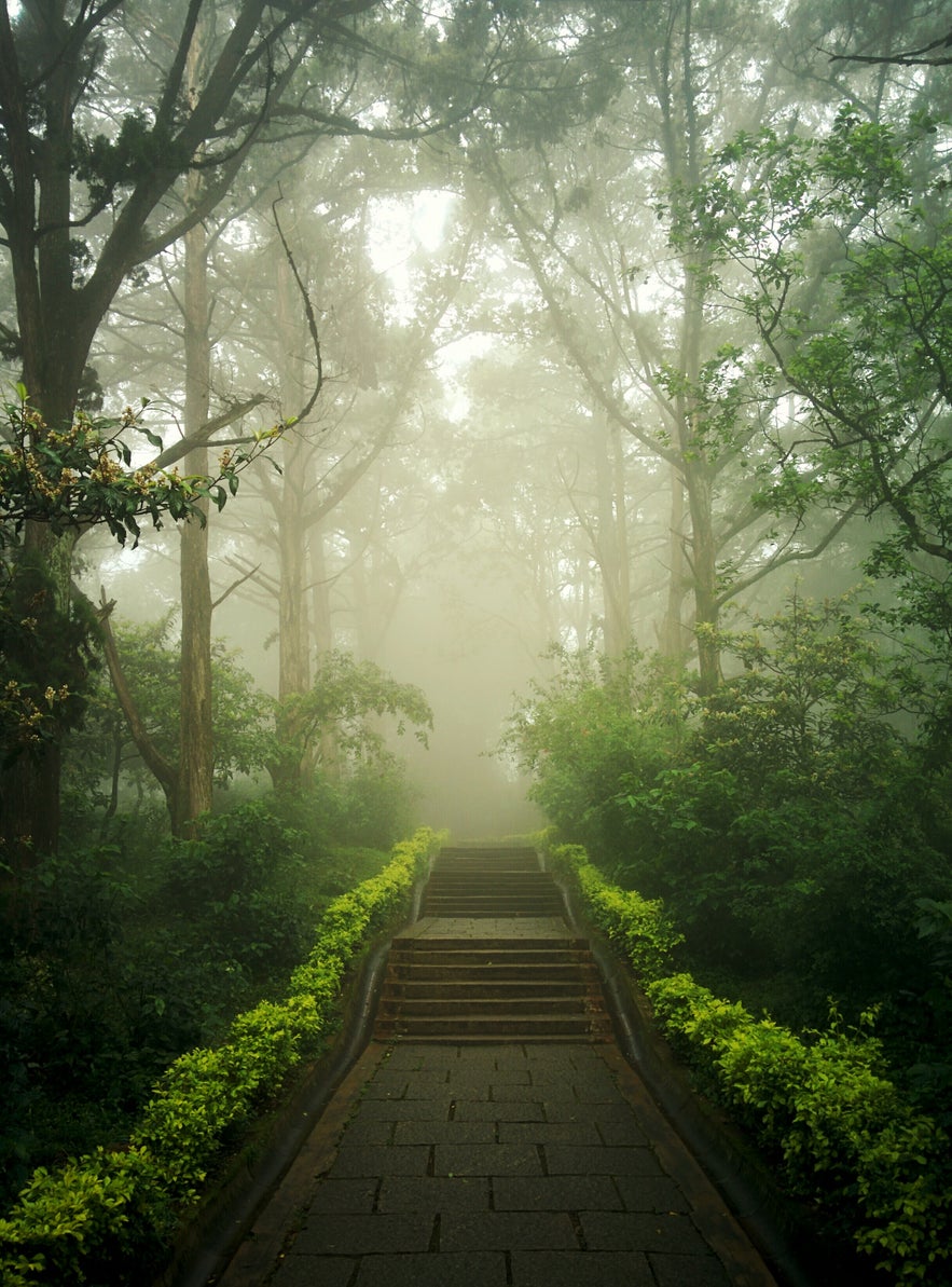 How to Improve Your Fog Photography How to Improve Your Fog Photography