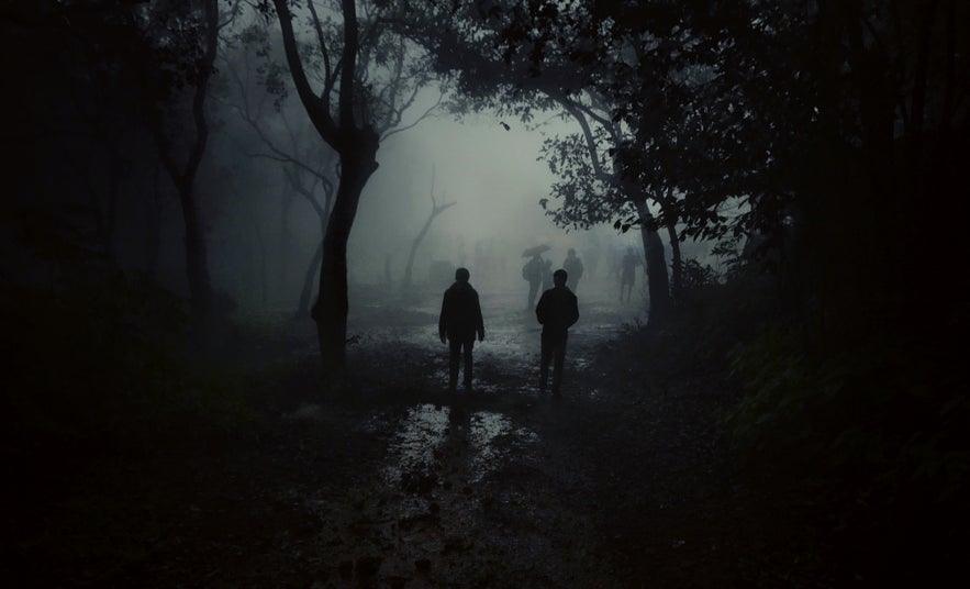 How to Improve Your Fog Photography How to Improve Your Fog Photography