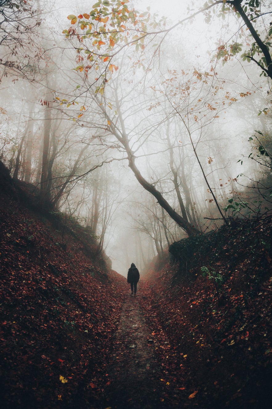 How to Improve Your Fog Photography How to Improve Your Fog Photography