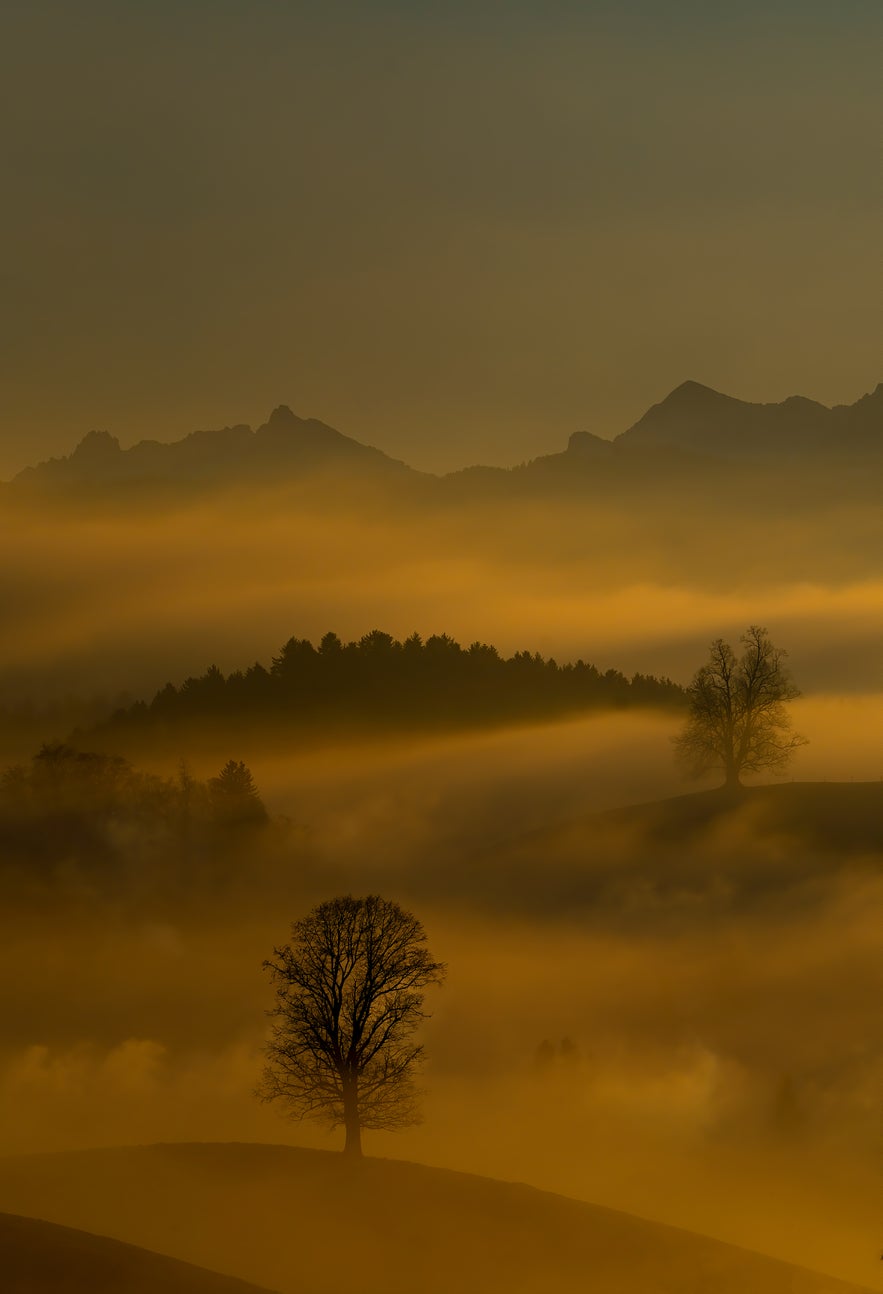 How to Improve Your Fog Photography (10 Easy Tips) How to Improve Your Fog Photography (10 Easy Tips)