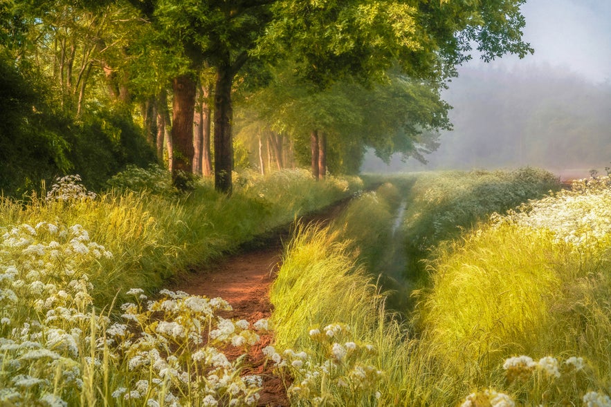 Interview with Lars van de Goor Interview with Lars van de Goor