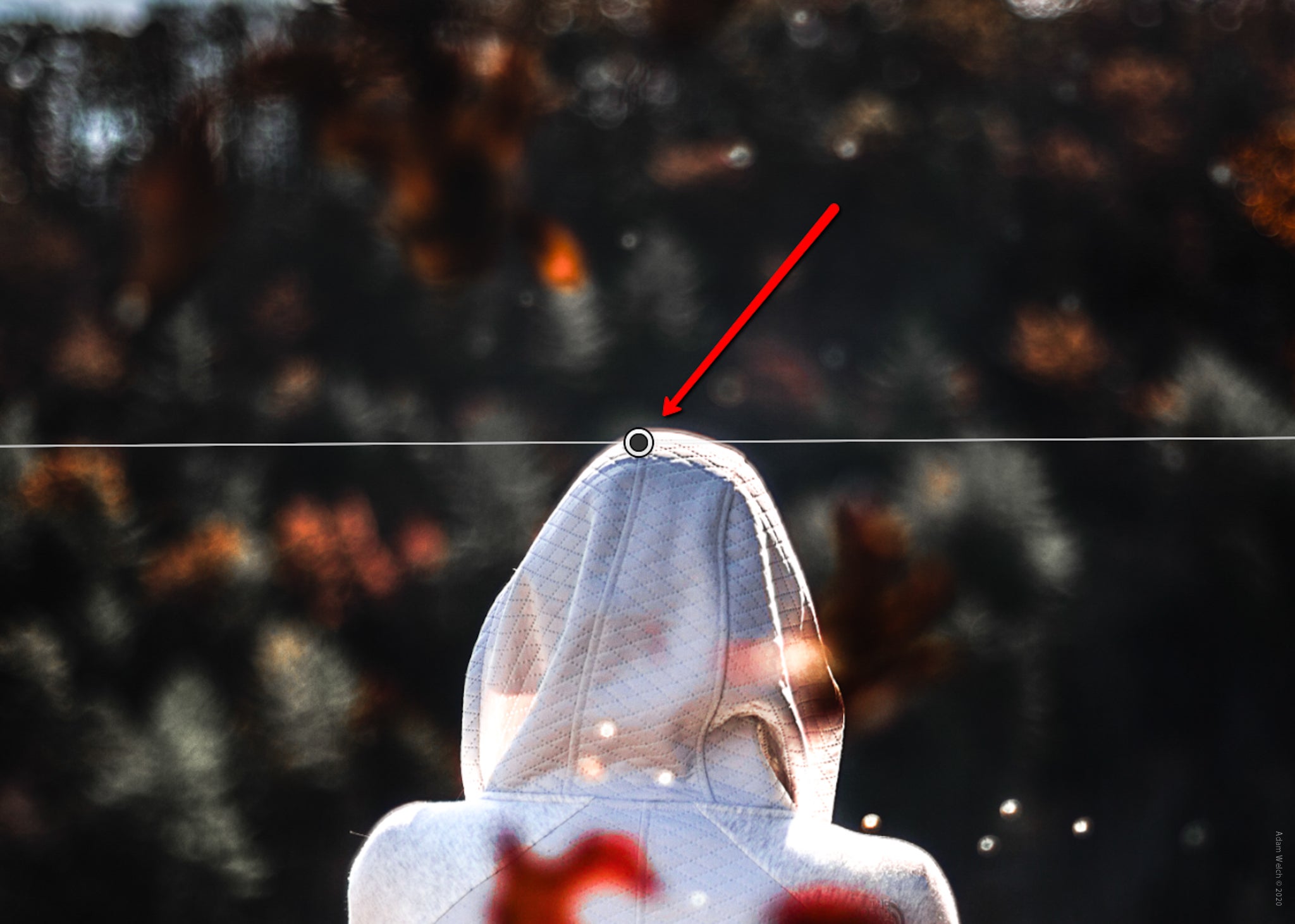 Gradation Filter How to Use the Graduated Filter Tool for Landscape Photography ...