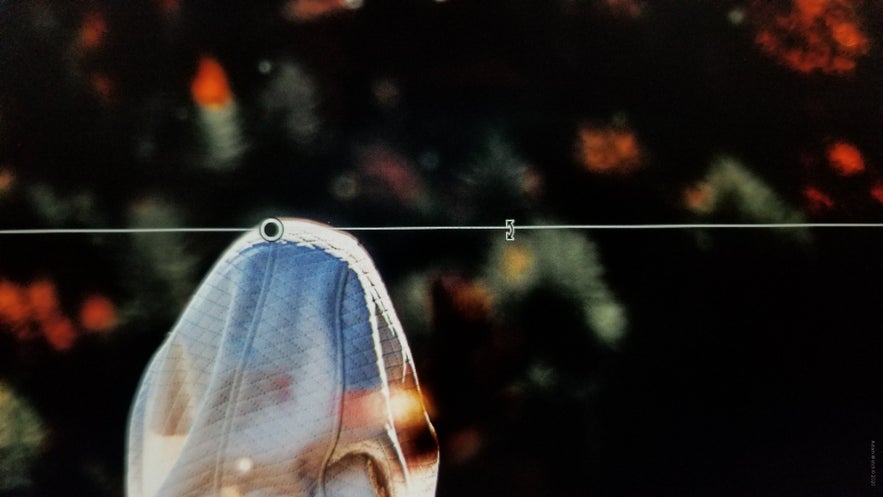 How to Use the Graduated Filter Tool for Landscape Photography ...