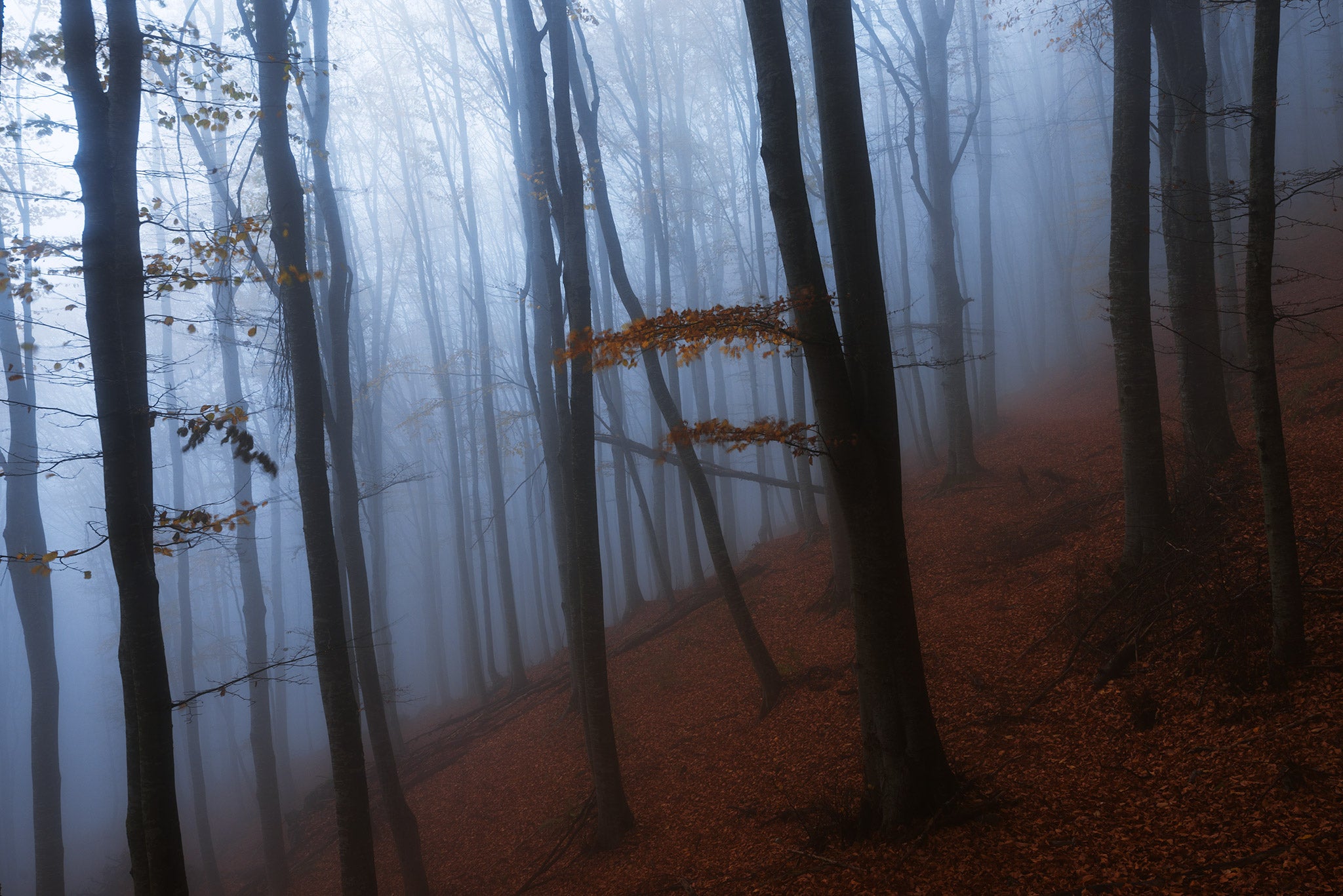 How to Take Landscape Photography That Evokes Emotion