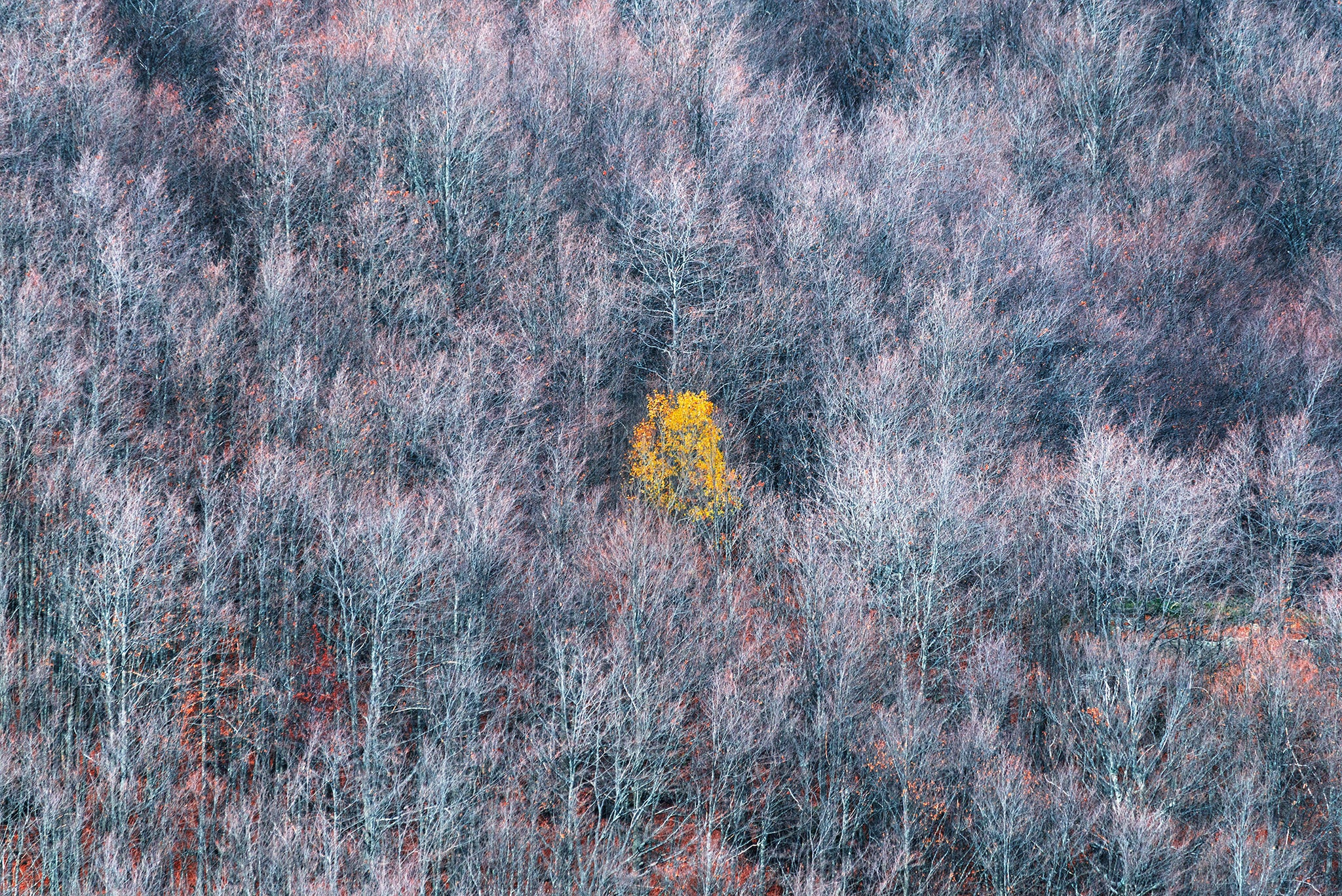 How to Take Landscape Photography That Evokes Emotion