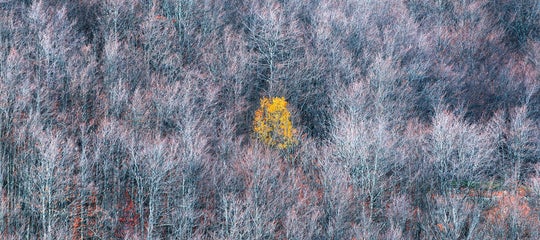 leonardopapera-emotions-7.jpg