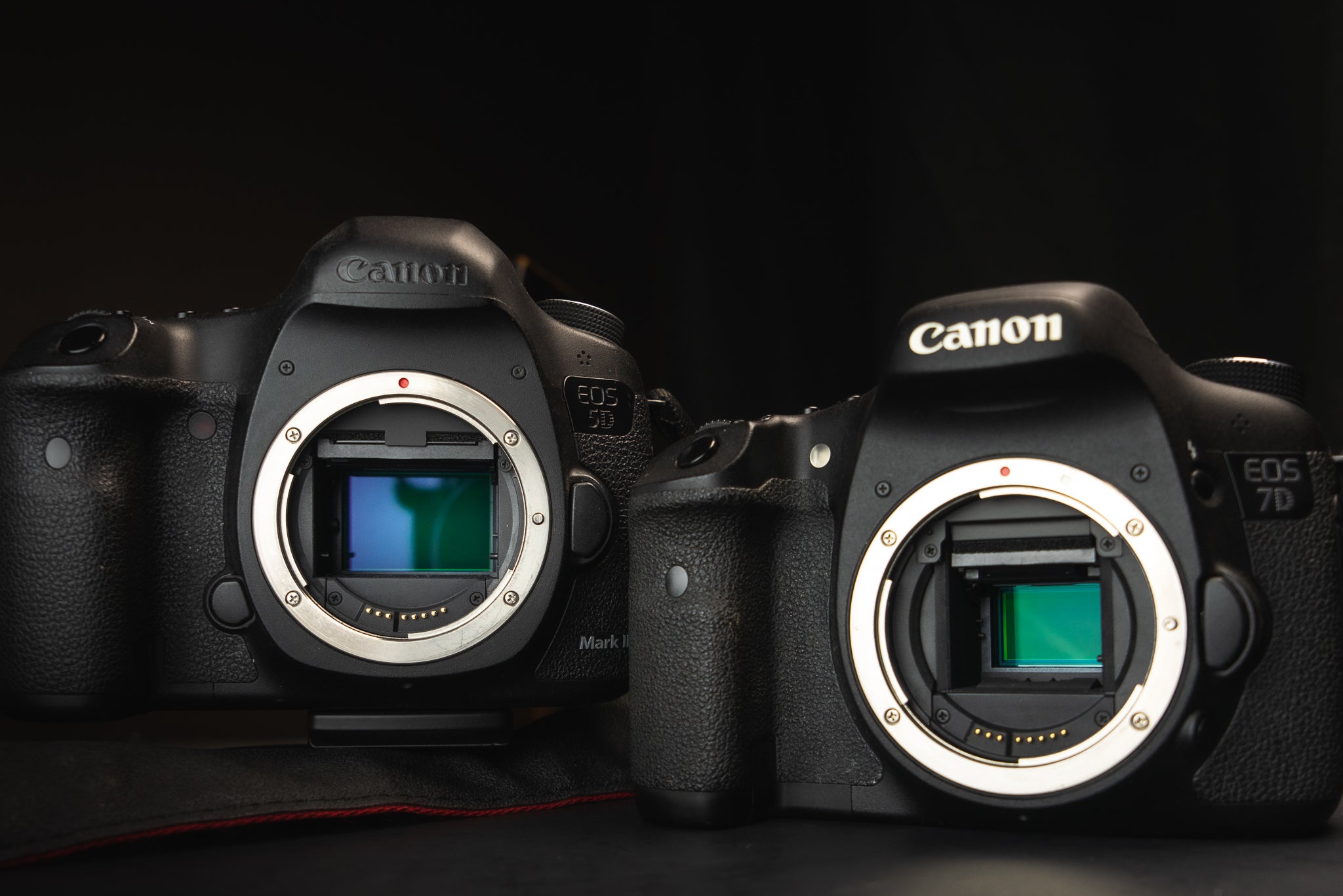 Film vs Digital Cameras for Landscape Photography