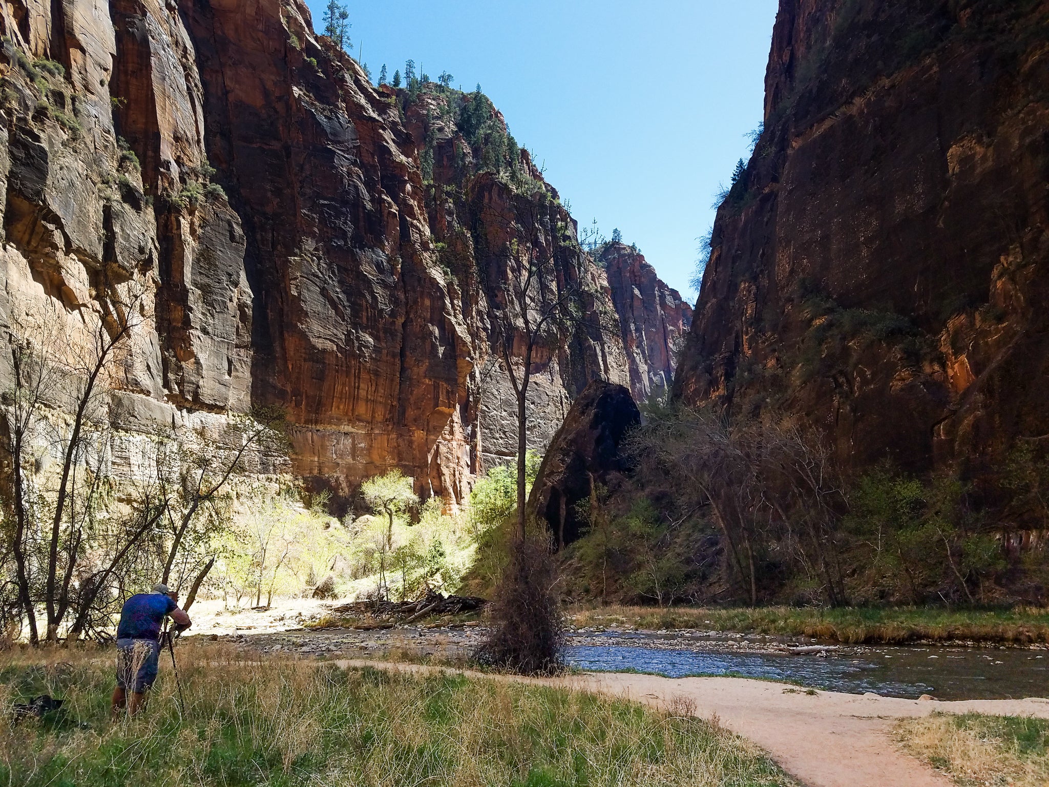 Film vs Digital Cameras for Landscape Photography