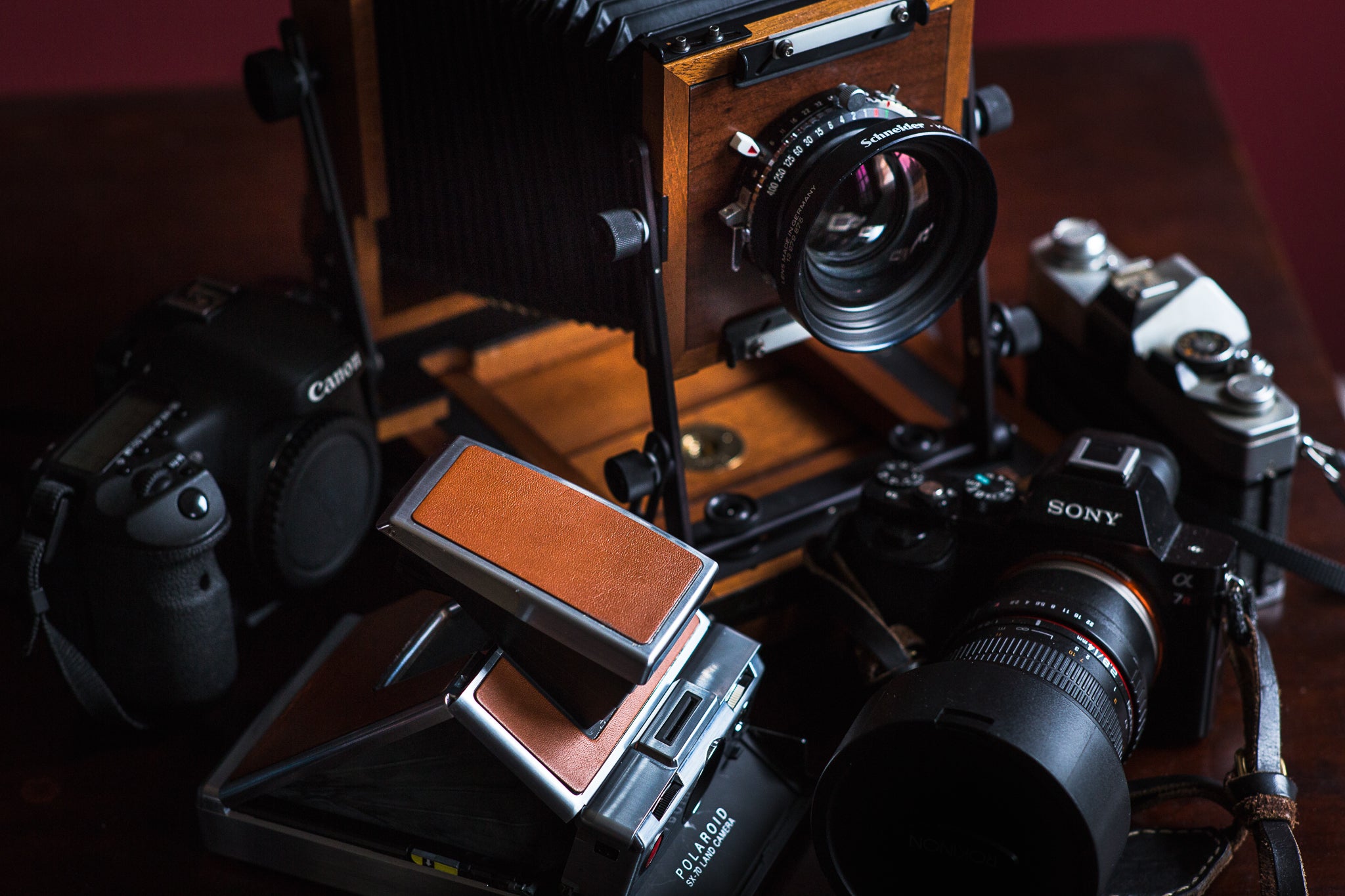 Film vs Digital Cameras for Landscape Photography