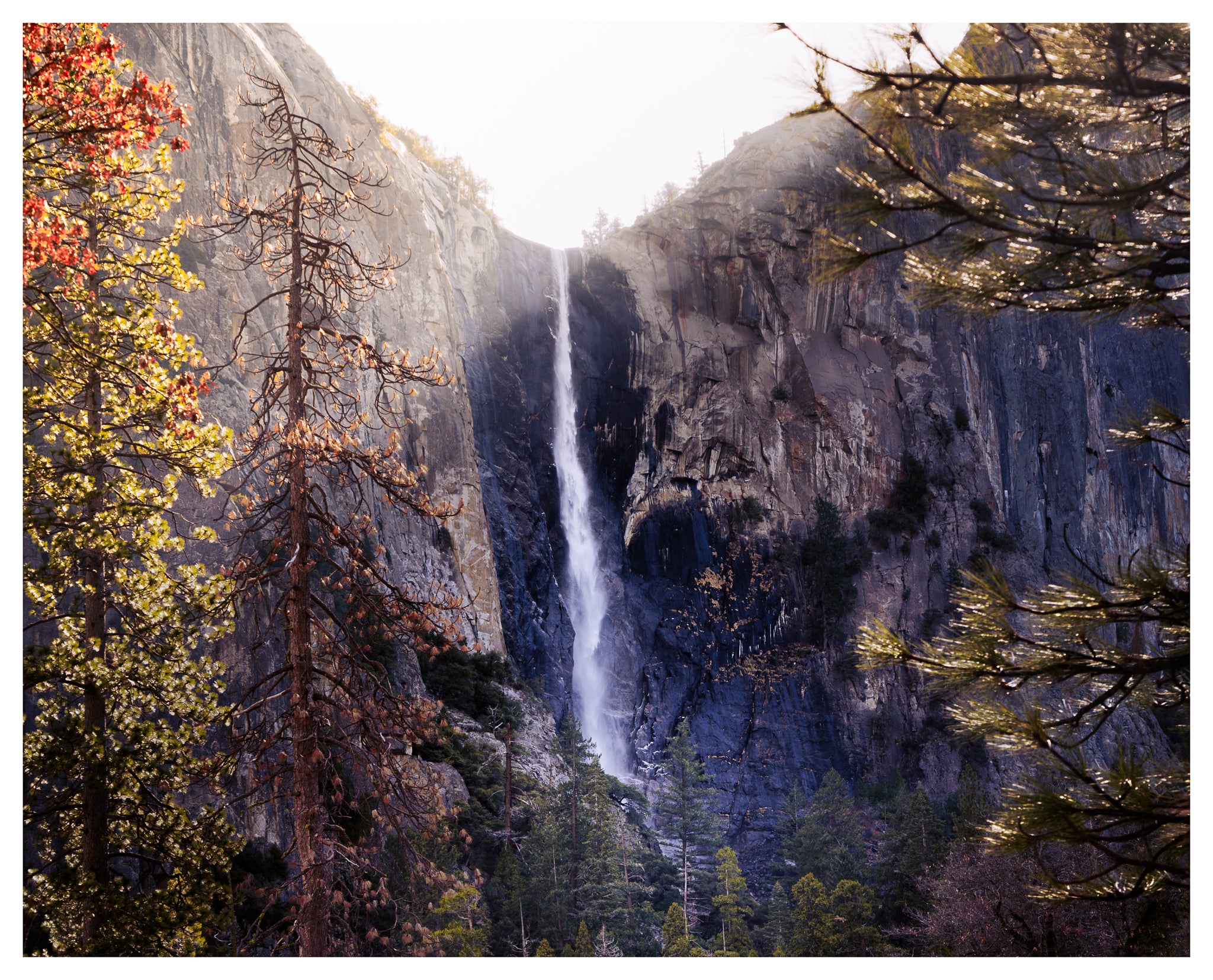 Film vs Digital Cameras for Landscape Photography