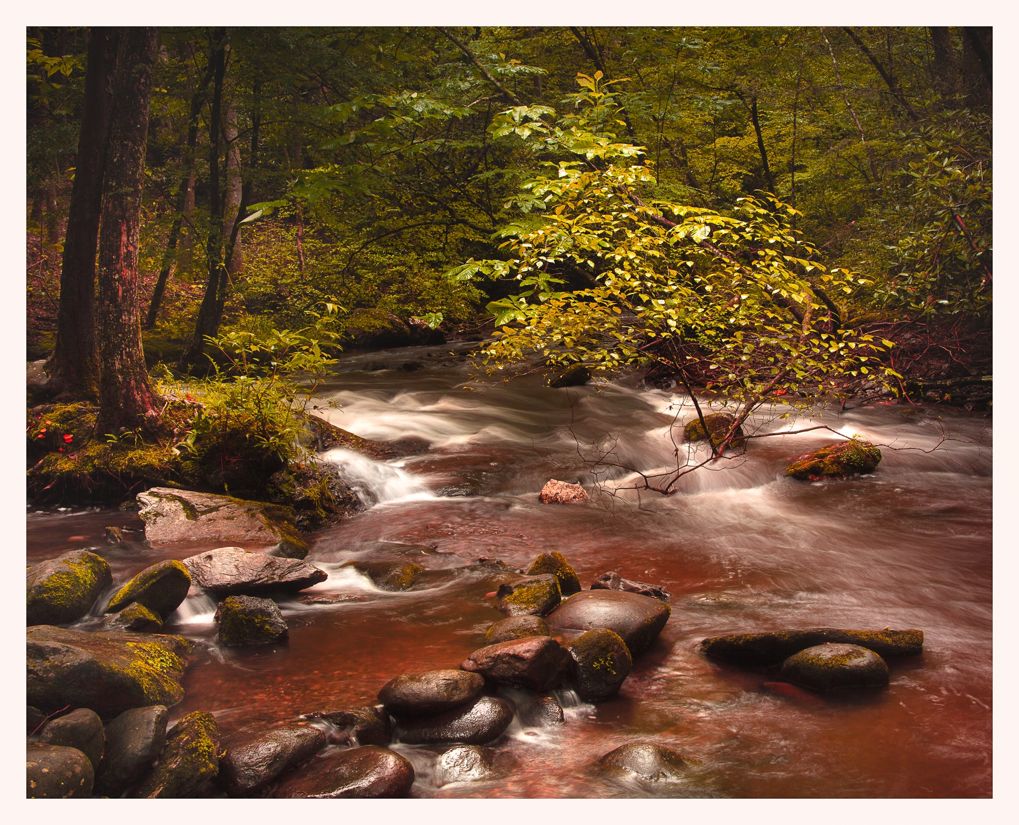 Film vs Digital Cameras for Landscape Photography