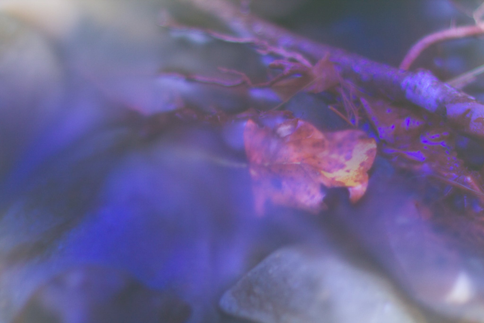 Complete Guide to Using Neutral Density Filters