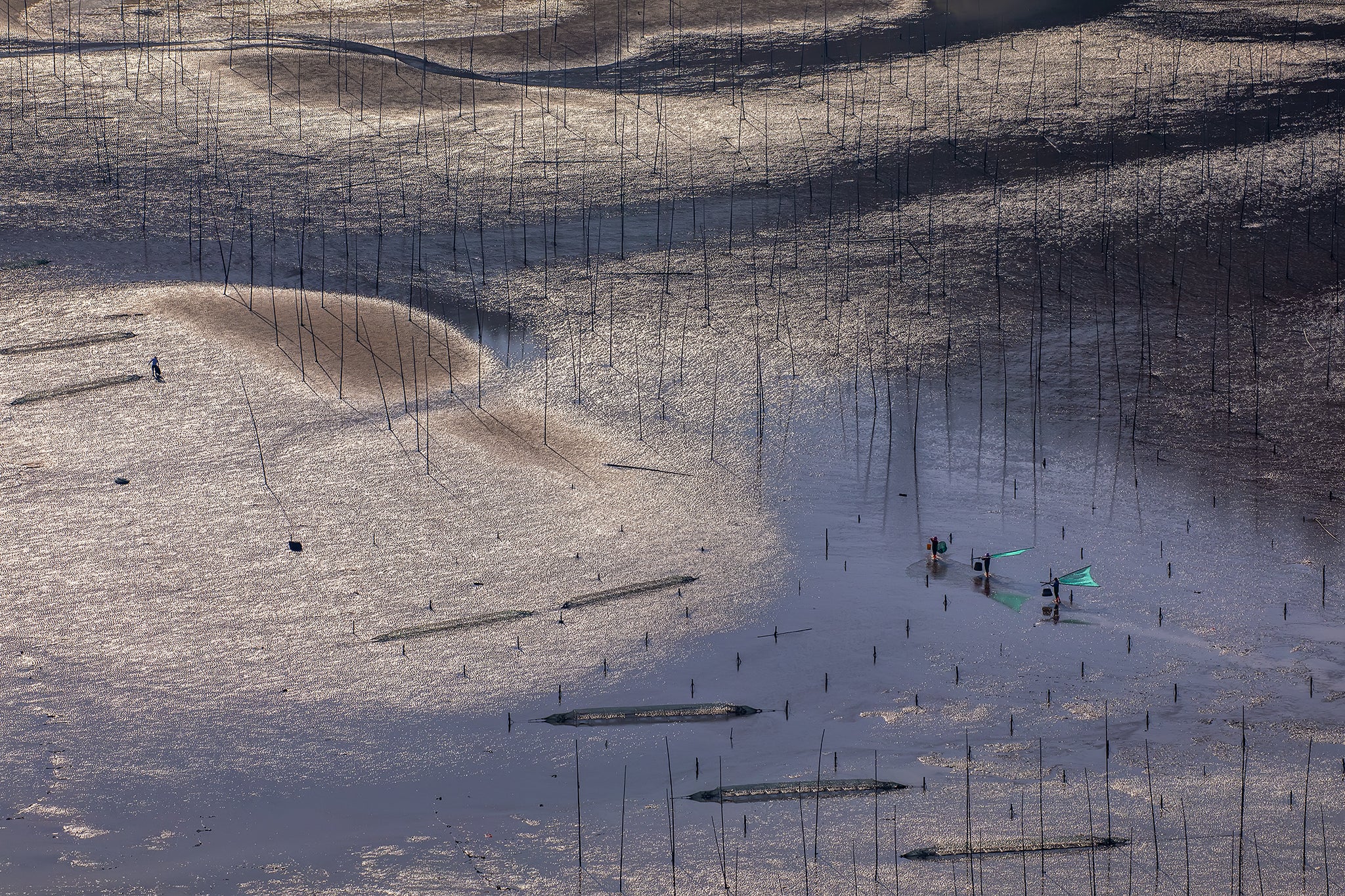 Interview with Kah-Wai Lin