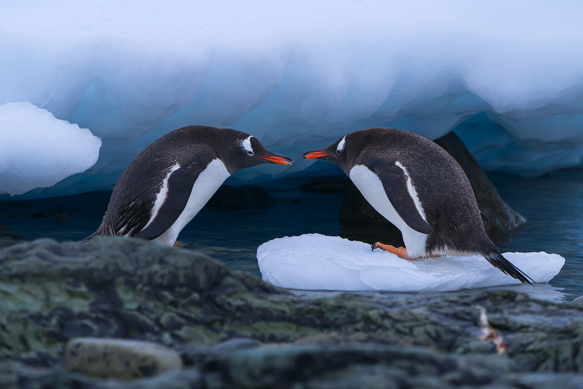 Interview with Kah-Wai Lin