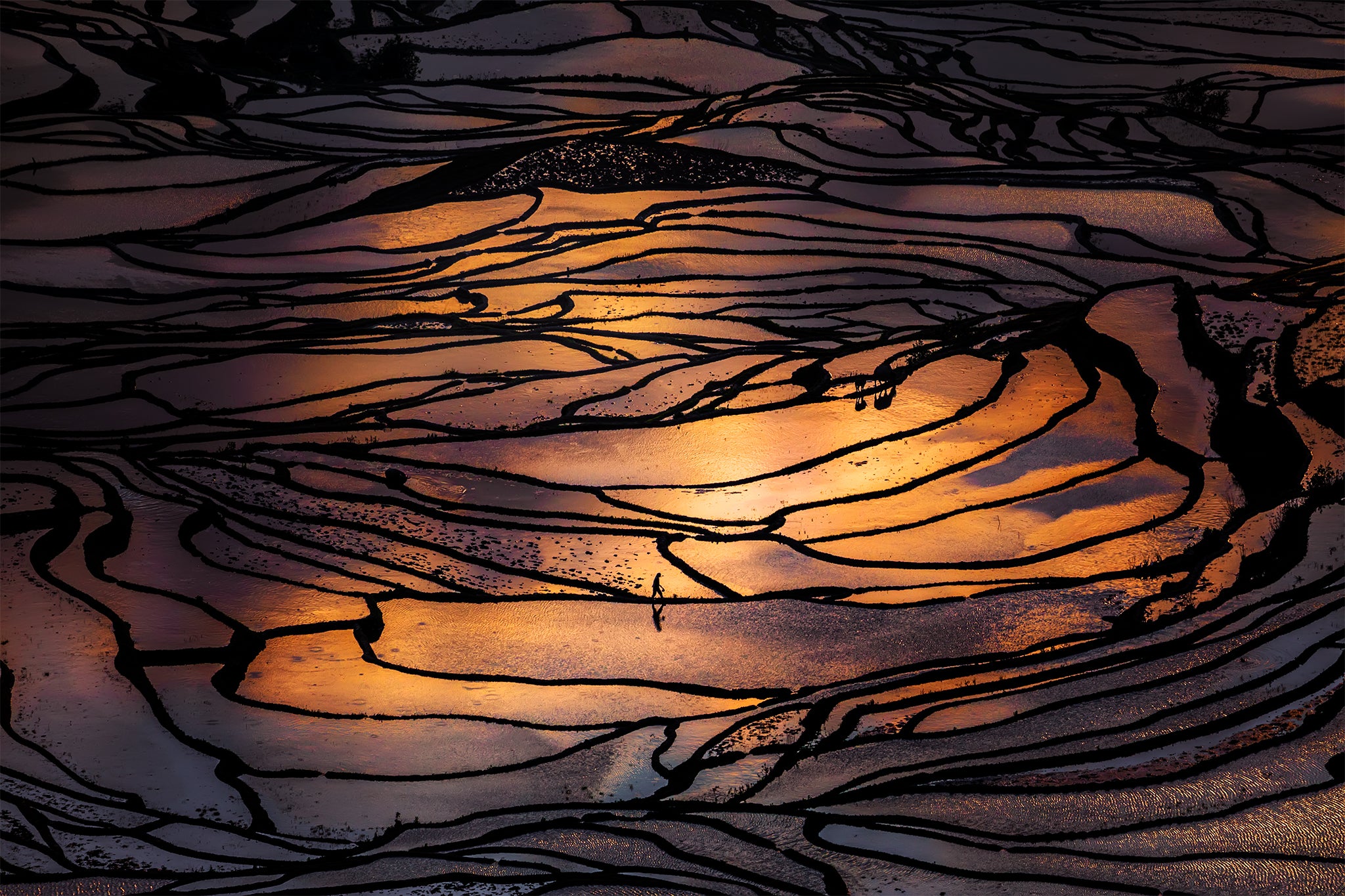 Interview with Kah-Wai Lin