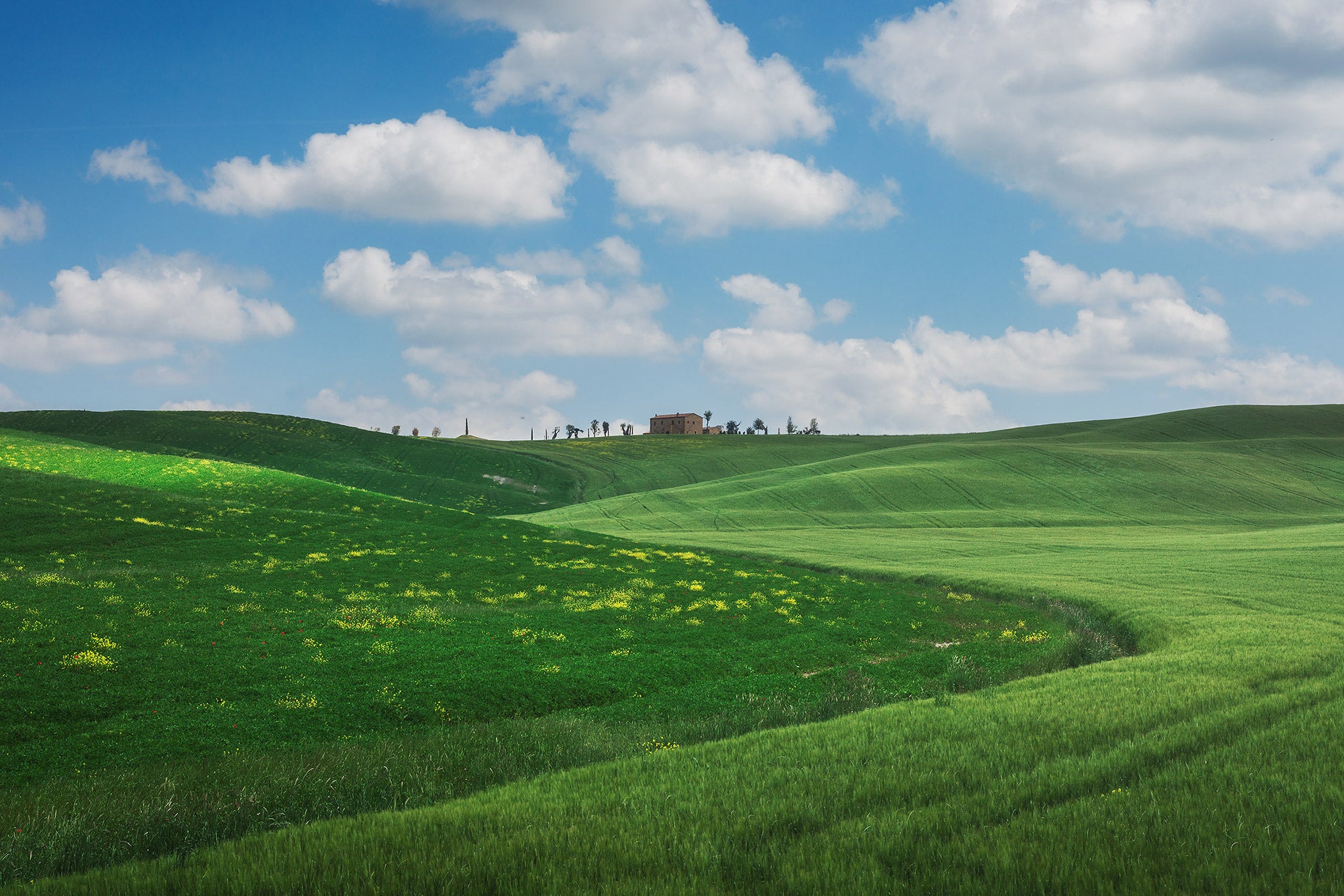 How to Use Balance for Better Compositions in Photography