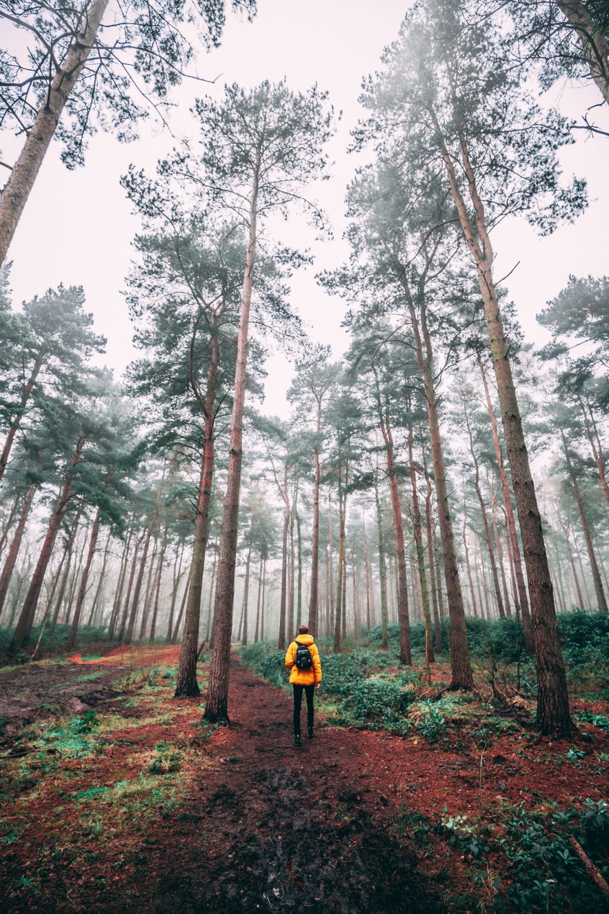 How to Make Money as a Landscape Photographer How to Make Money as a Landscape Photographer