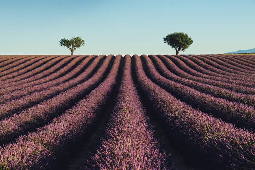 Horizontal Line Photography 40+ Photos Of Leading Lines From The Photo