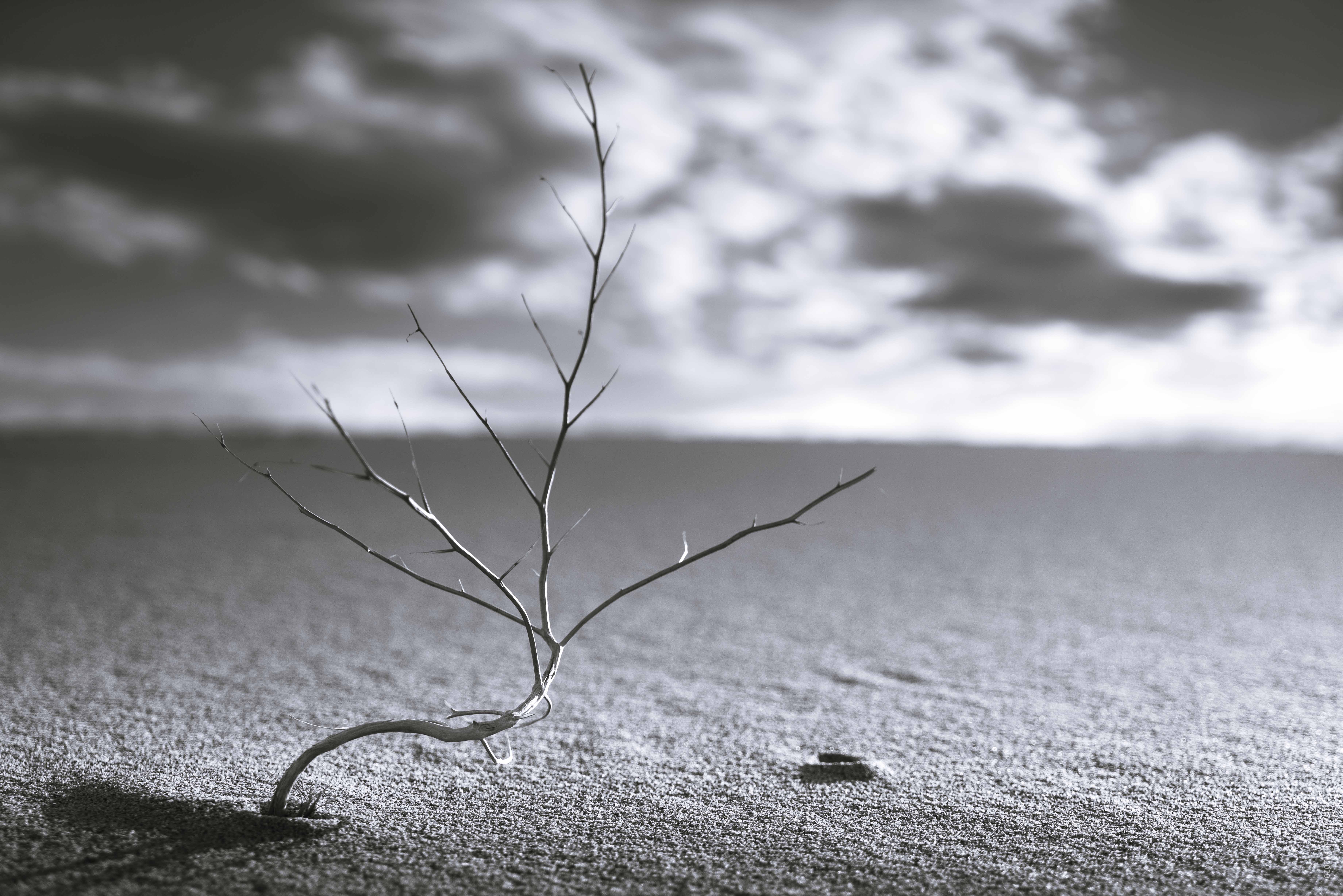 What is a Photography Style and How to Find Yours