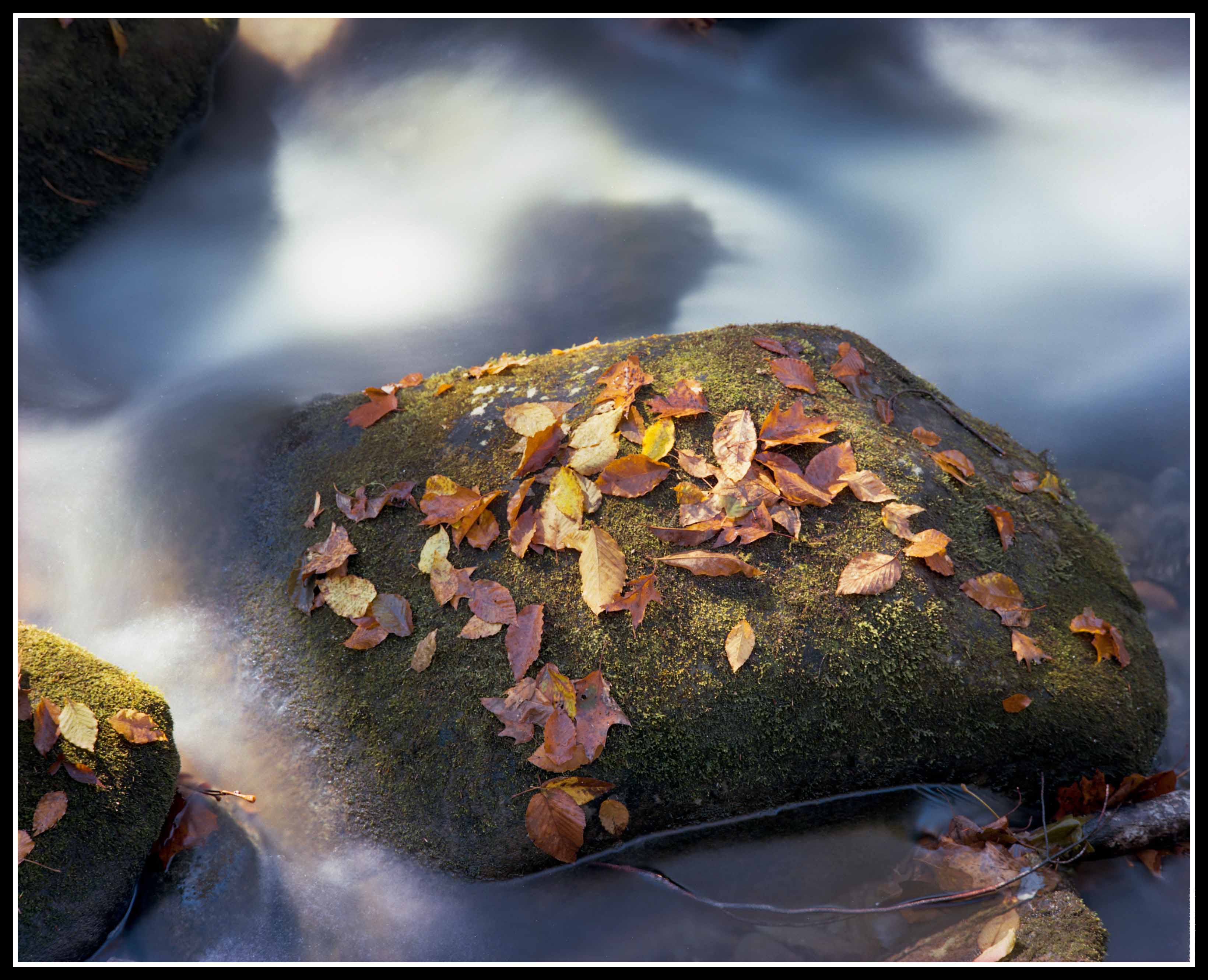 What is a Photography Style and How to Find Yours