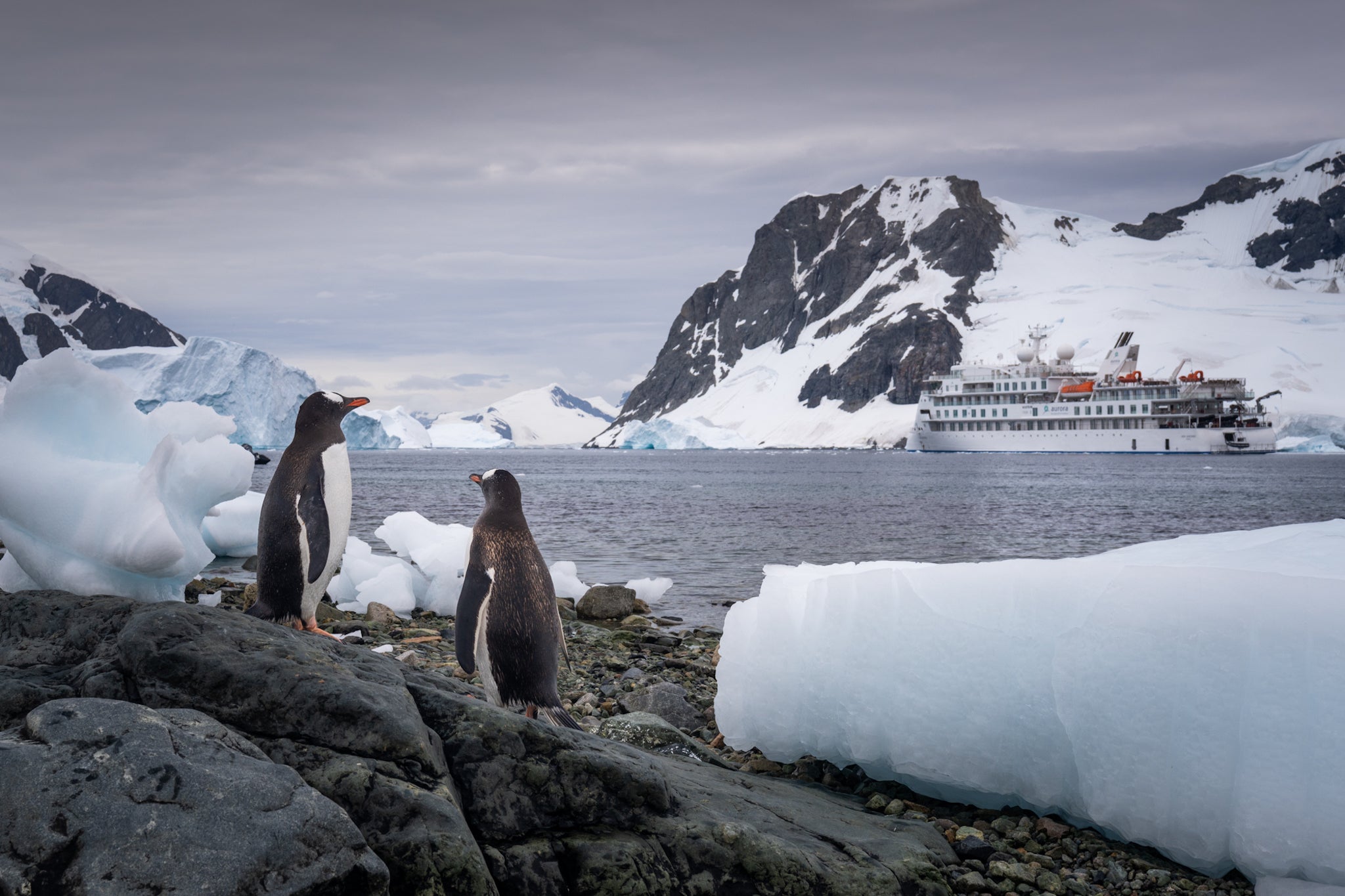 An Unforgettable Trip to Antarctica with Iceland Photo Tours