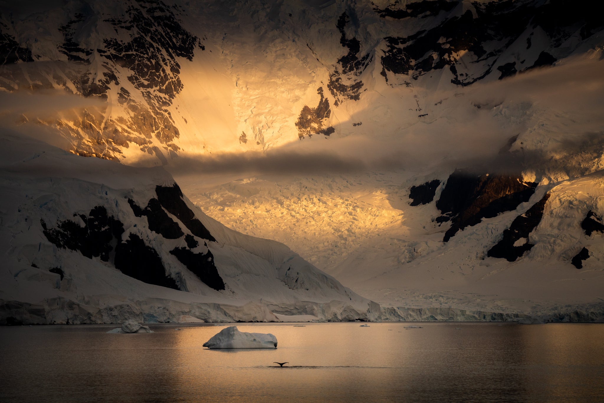 An Unforgettable Trip to Antarctica with Iceland Photo Tours