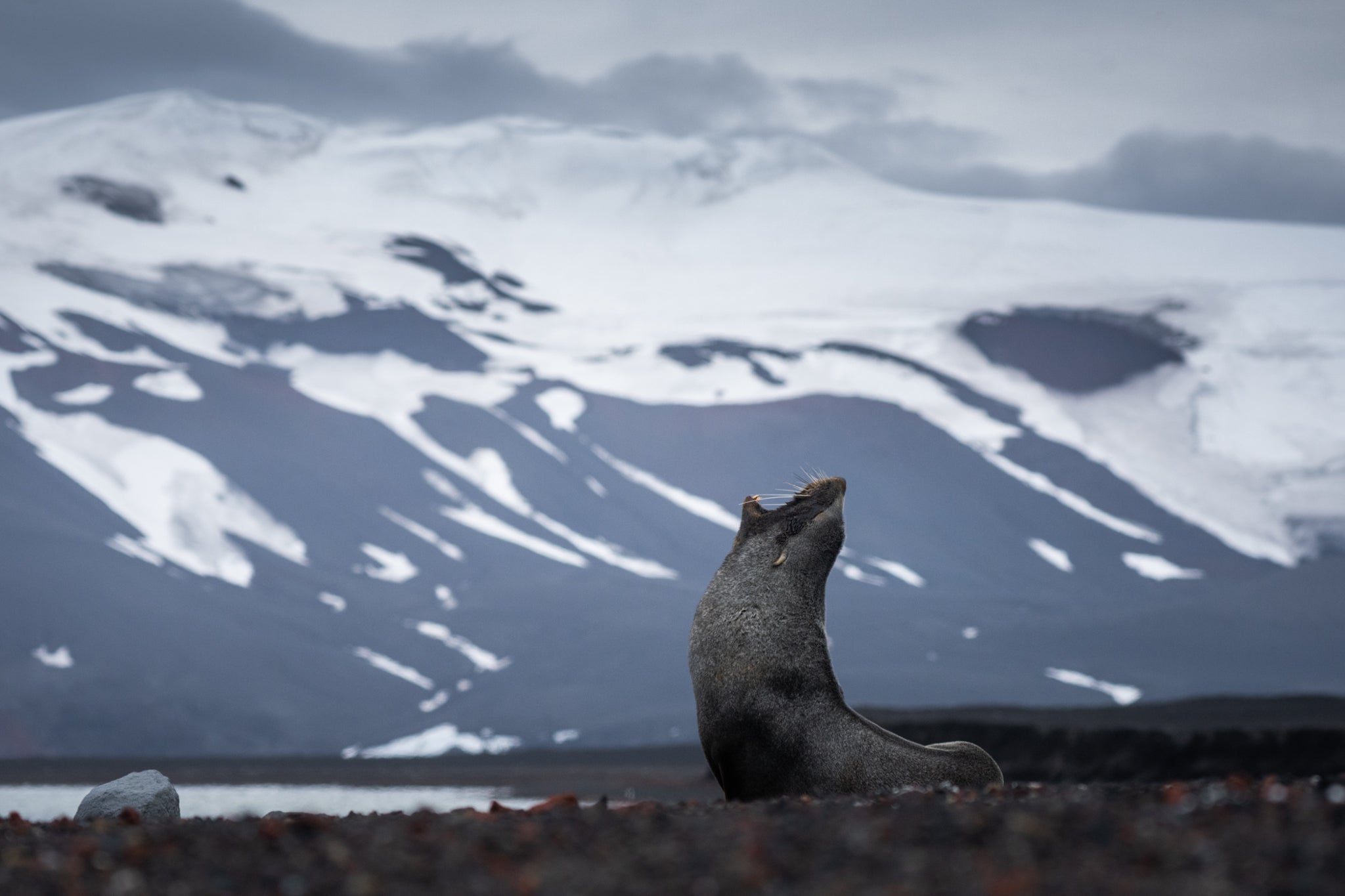 An Unforgettable Trip to Antarctica with Iceland Photo Tours