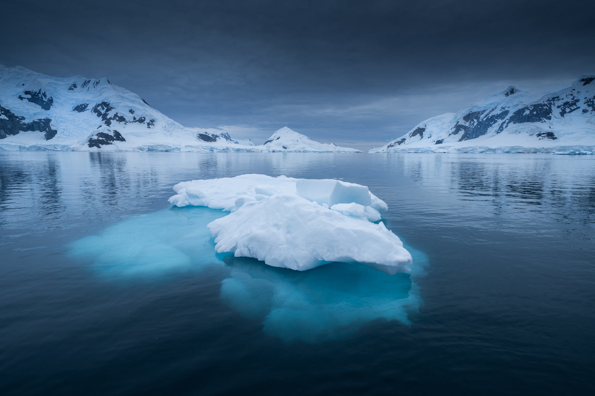 An Unforgettable Trip to Antarctica with Iceland Photo Tours