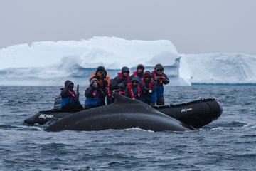 An Unforgettable Trip to Antarctica With Iceland Photo Tours