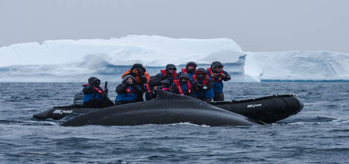 An Unforgettable Trip to Antarctica With Iceland Photo Tours