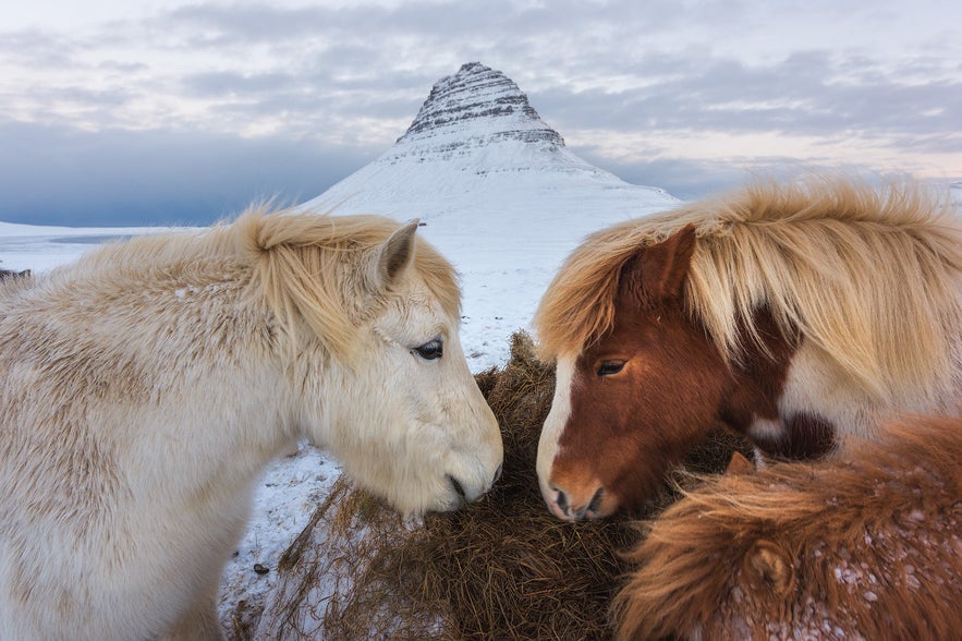 27 Iceland Photography Locations That Will Blow Your Mind 27 Iceland Photography Locations That Will Blow Your Mind