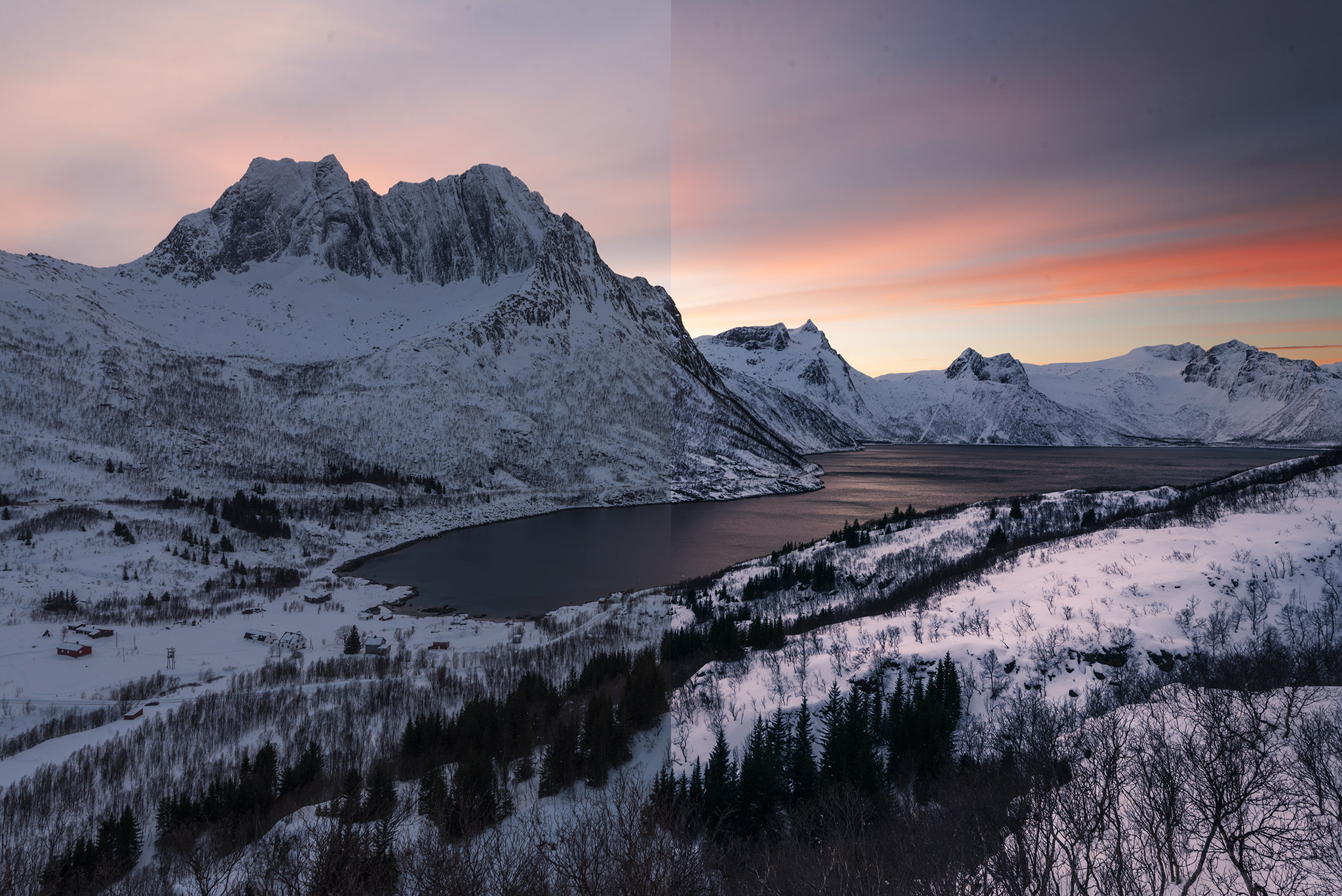 Image Formats | RAW vs JPEG in Photography Image Formats | RAW vs JPEG in Photography