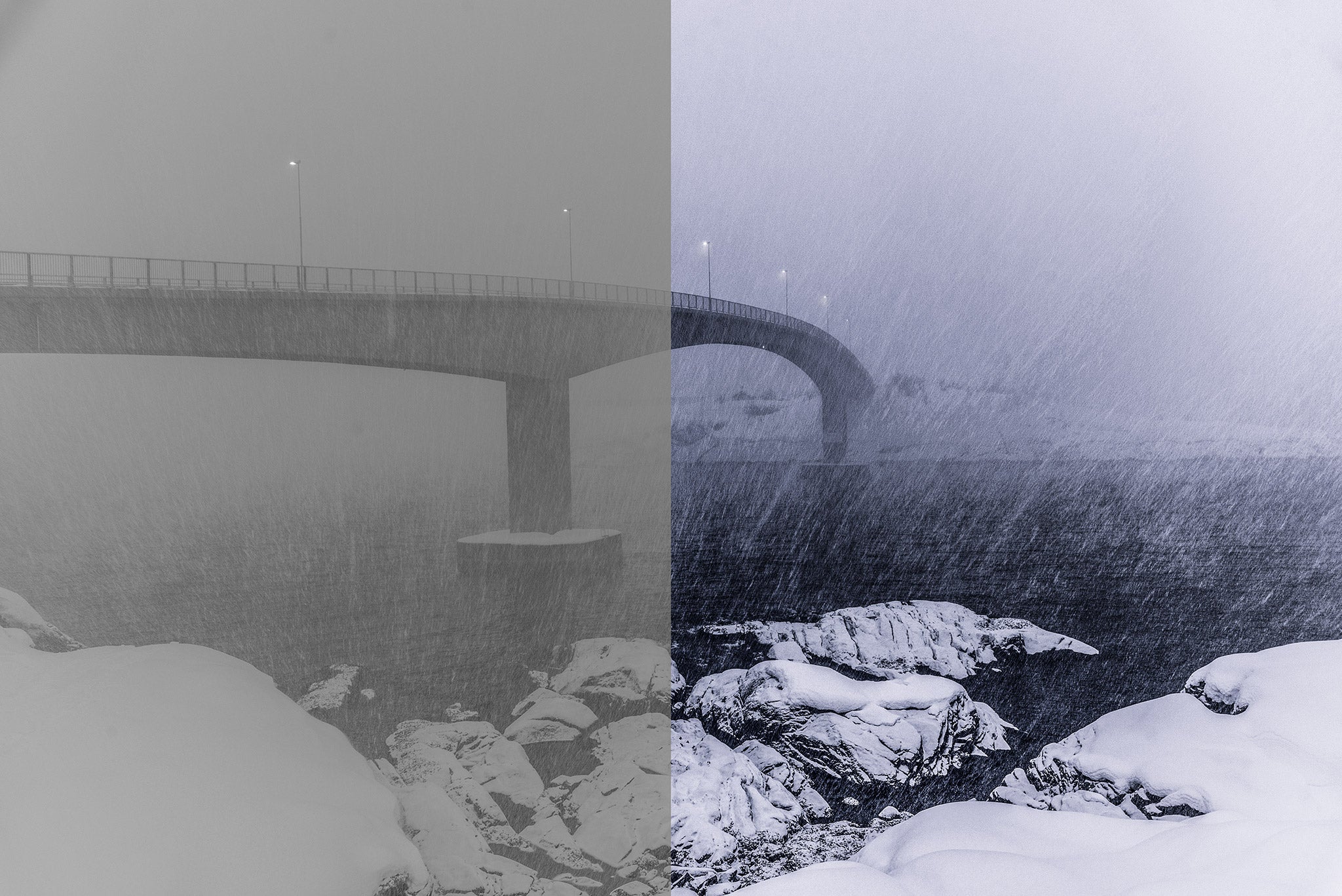 Image Formats | RAW vs JPEG in Photography