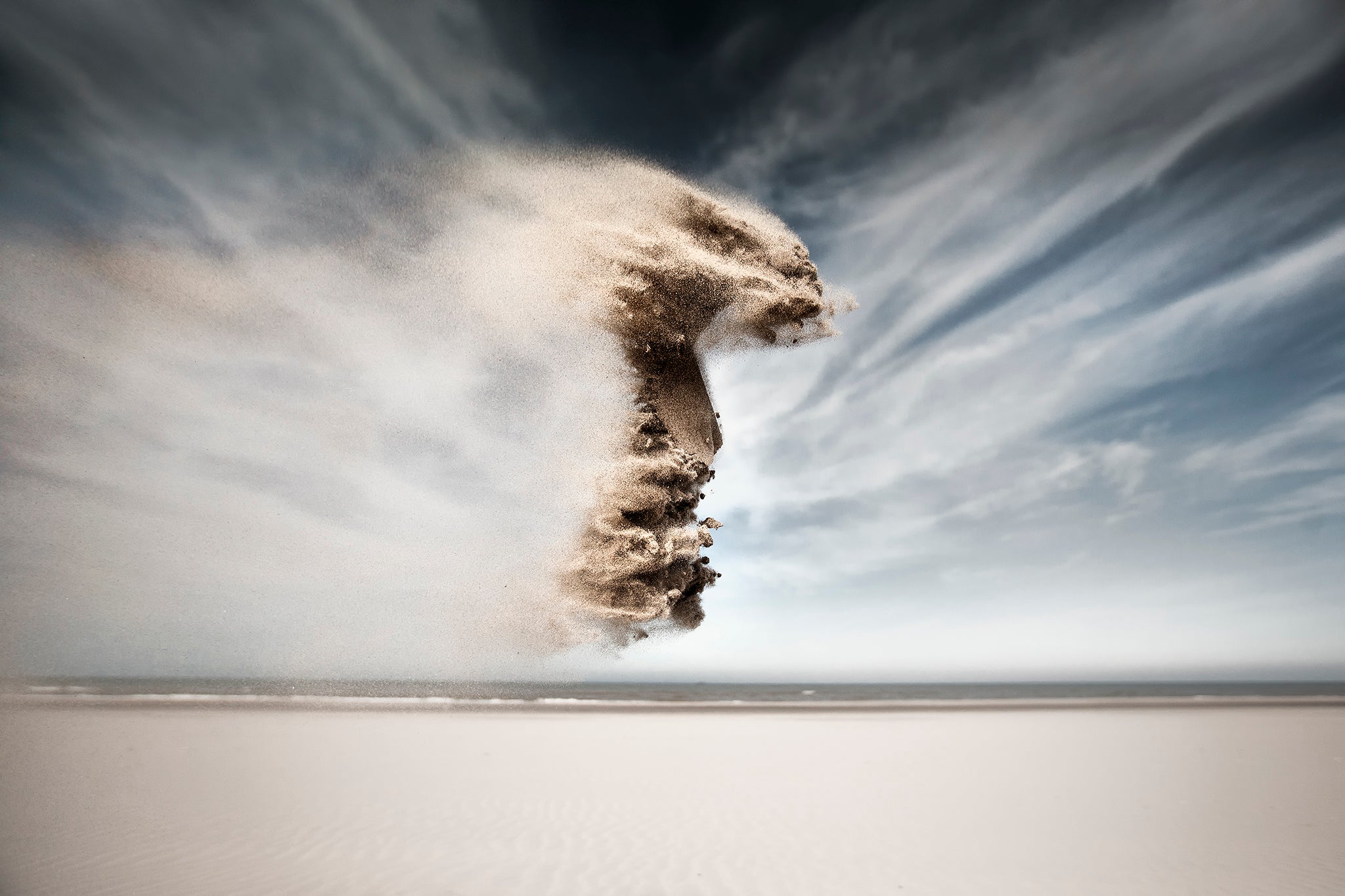 ClaireDroppert_SandCreaturesII_Cobra.jpg