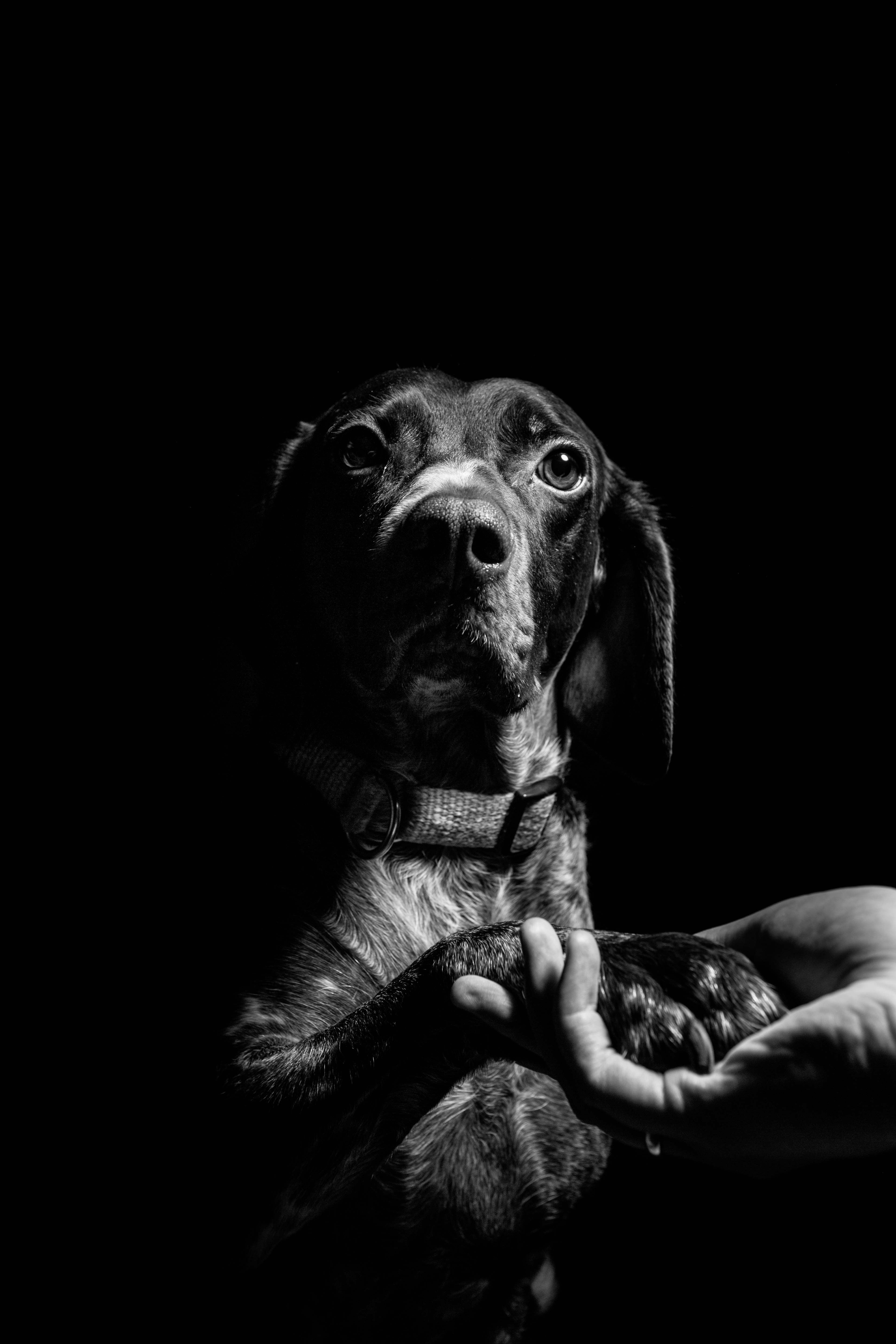 15 Types of Photography to Channel Your Creativity