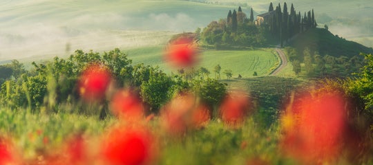 leonardopapera-focus-1.jpg