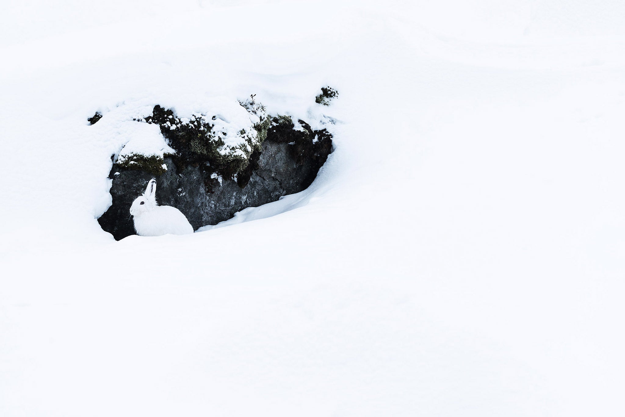 Ultimate Guide to Understanding Focus in Photography