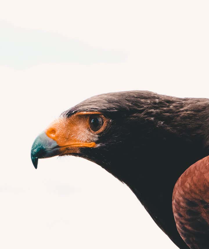 Ultimate Guide to Understanding Focus in Photography