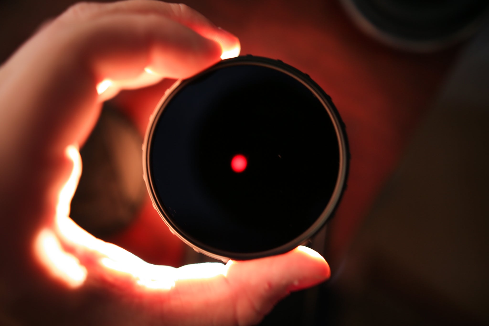 Beginner's Guide to Infrared Photography