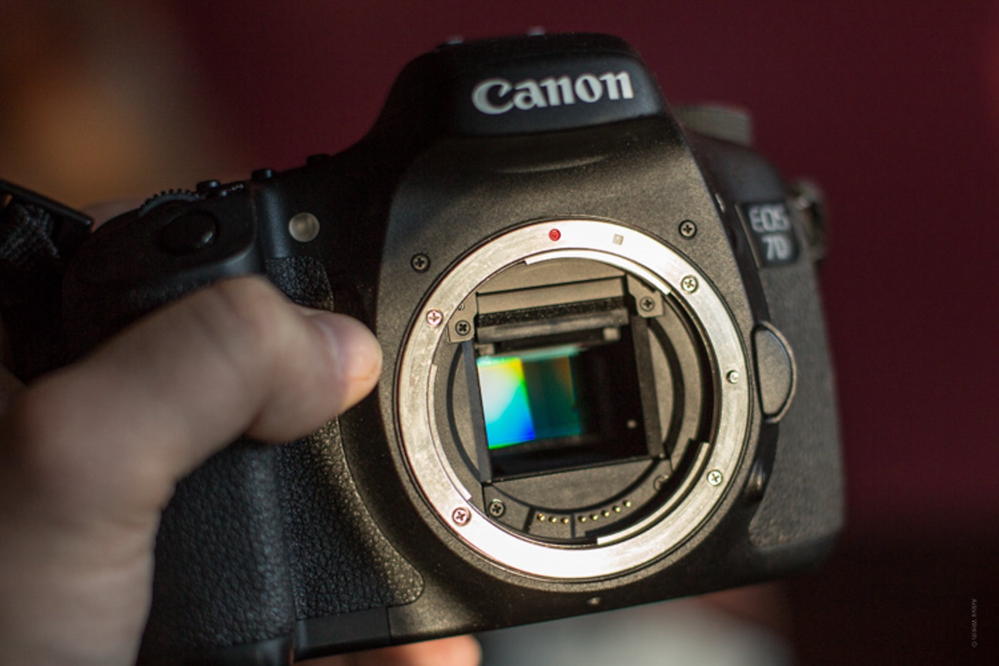 Beginner's Guide to Infrared Photography